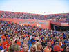 The Swamp